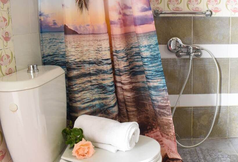 Urban Seaside Oasis   Adriana S Garden Paradise