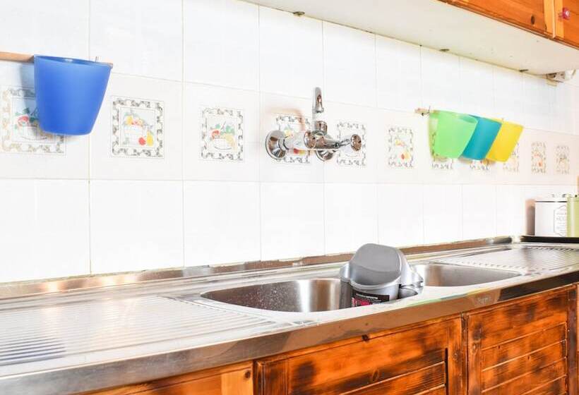 Urban Seaside Oasis   Adriana S Garden Paradise