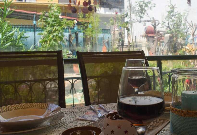 Urban Seaside Oasis   Adriana S Garden Paradise