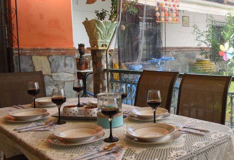 Urban Seaside Oasis   Adriana S Garden Paradise