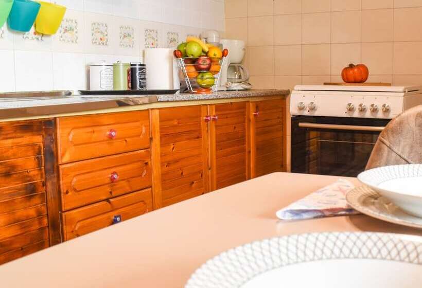 Urban Seaside Oasis   Adriana S Garden Paradise