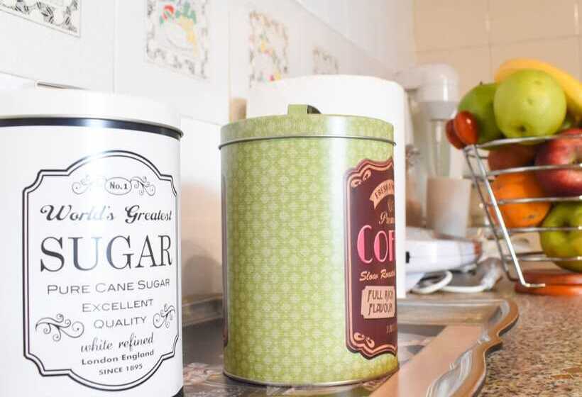 Urban Seaside Oasis   Adriana S Garden Paradise