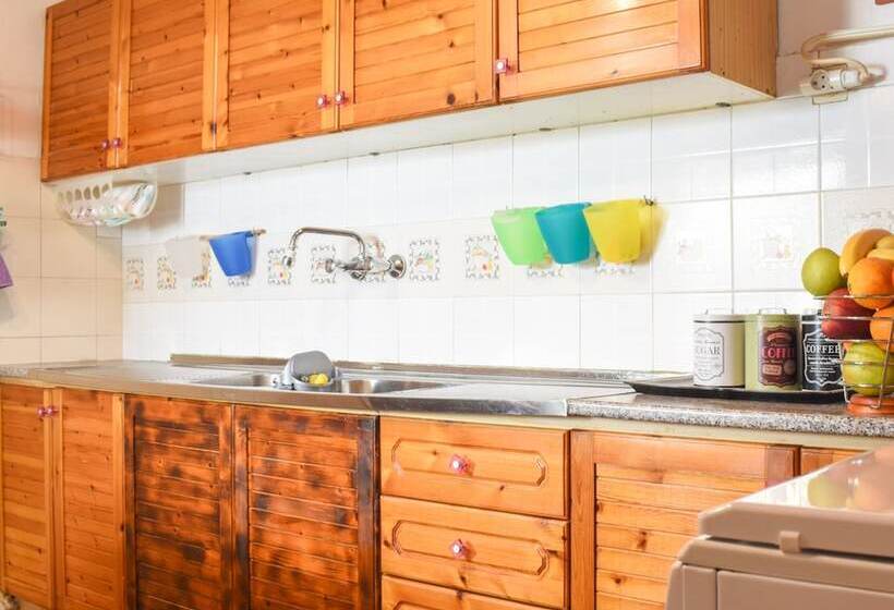 Urban Seaside Oasis   Adriana S Garden Paradise