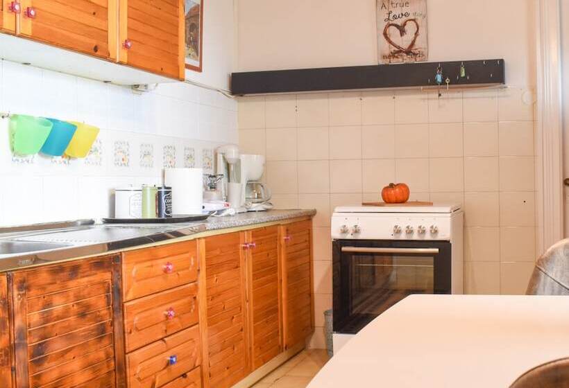 Urban Seaside Oasis   Adriana S Garden Paradise