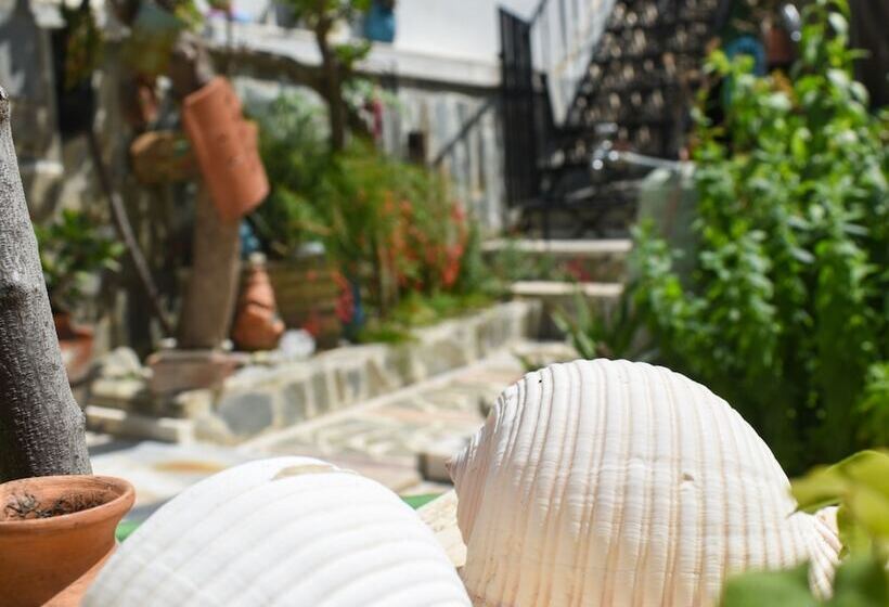 Urban Seaside Oasis   Adriana S Garden Paradise