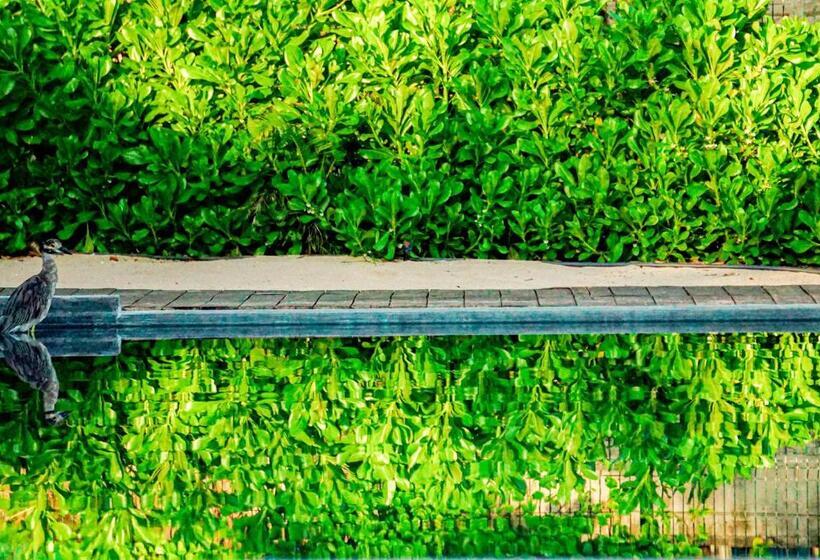 Casa Lu Hotel Boutique