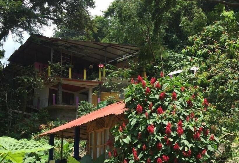 Отель Cabañas Y Casas Del árbol La Huerta