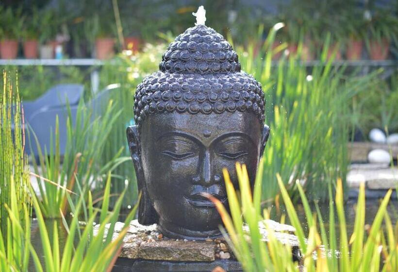 فندق Casa Das Carpas