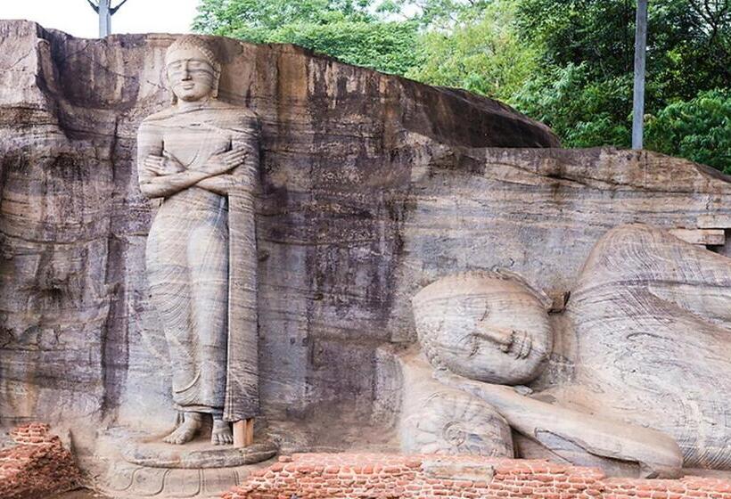 בית מלון כפרי Lion Resort