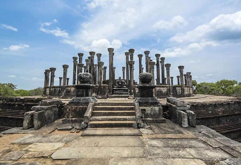 בית מלון כפרי Lion Resort