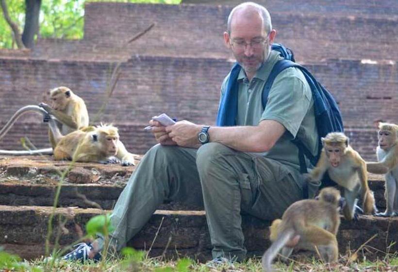 בית מלון כפרי Lion Resort