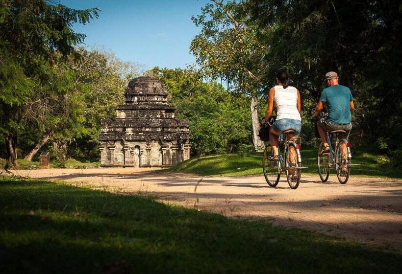 בית מלון כפרי Lion Resort