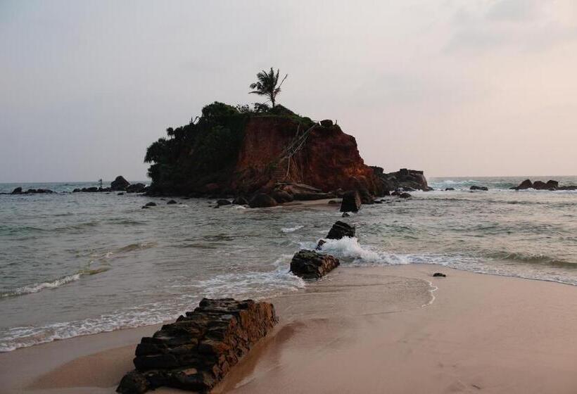 Hotel Turtle Bay Beach Resort