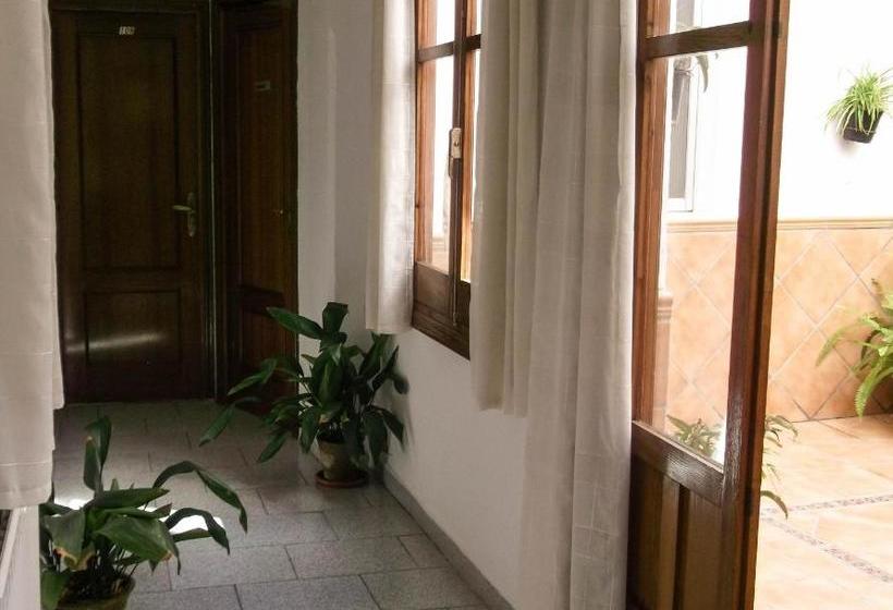 Pensión Ciudad Navarro Ramos