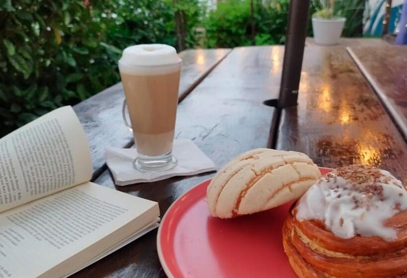 호스텔 Hostal Casa Violeta