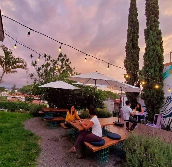 호스텔 Hostal Casa Violeta