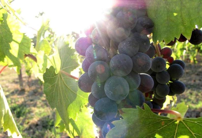 בית מלון כפרי Pietralta