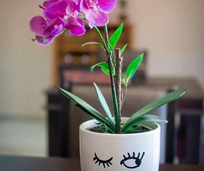 פנסיון 7th Heaven Guesthouse