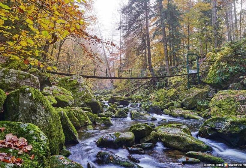 Pension Zum Schmidbäcker
