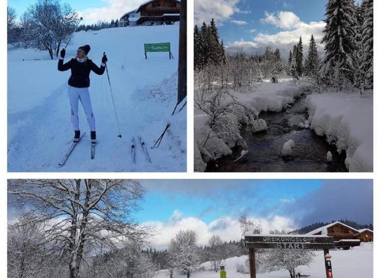 Pension Zum Schmidbäcker