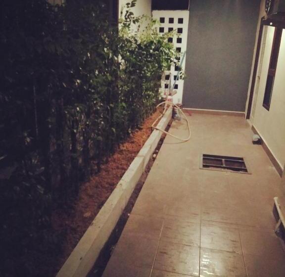 住宿加早餐  The Sekret