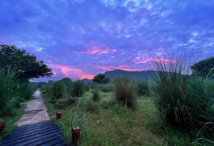 فندق Camp Land S End