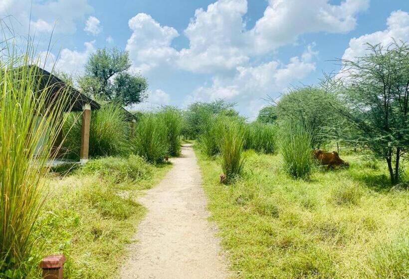 فندق Camp Land S End