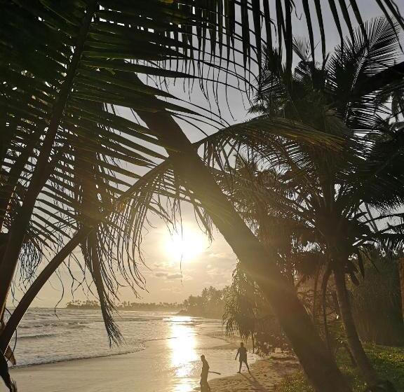 酒店 Voulez Vous, Managed By Dikwella Beach