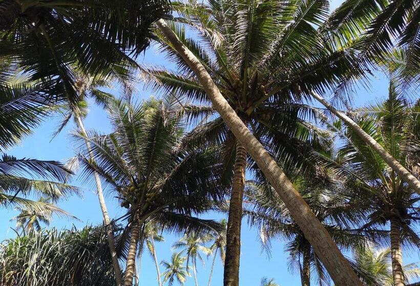 酒店 Voulez Vous, Managed By Dikwella Beach