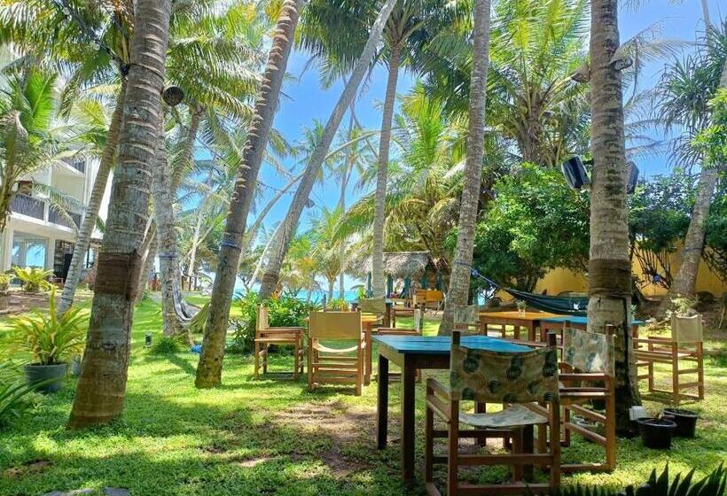 酒店 Voulez Vous, Managed By Dikwella Beach