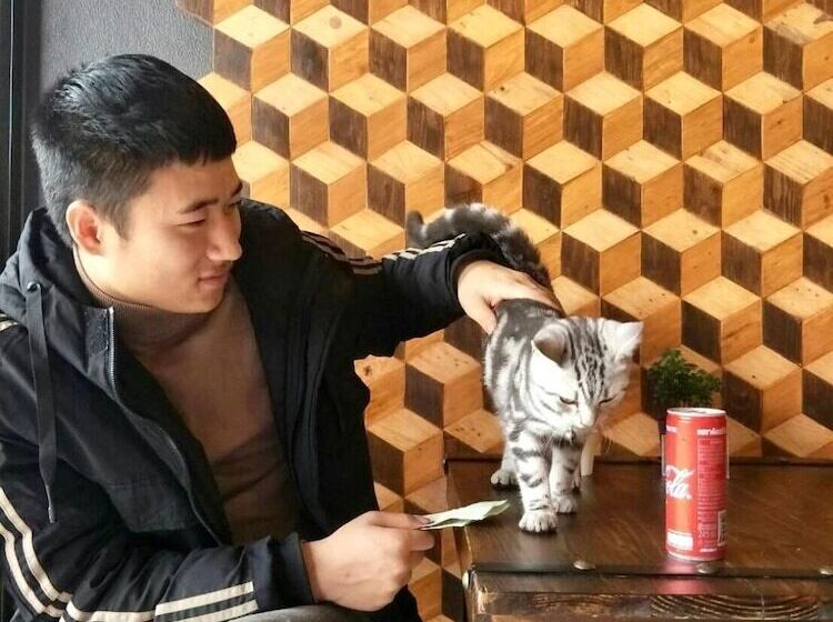 Jaidee Cafe & Hostel Chiangrai