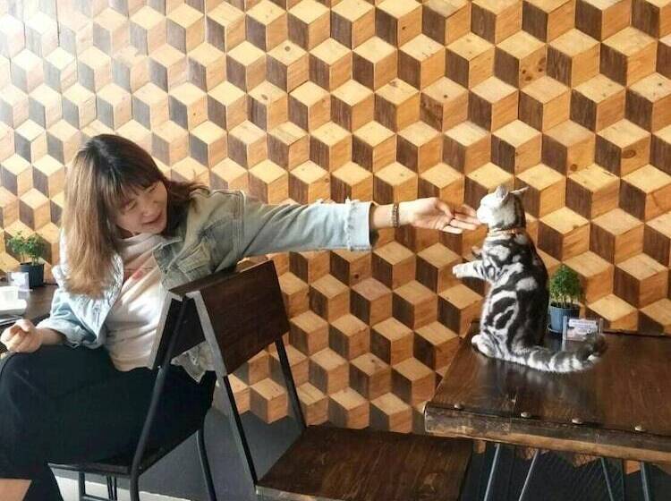 Jaidee Cafe & Hostel Chiangrai