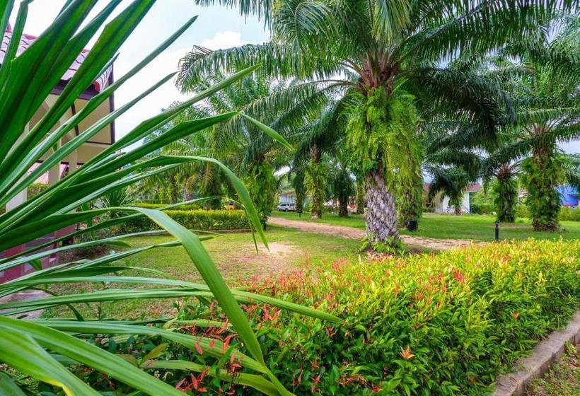 منتجع Green Garden House