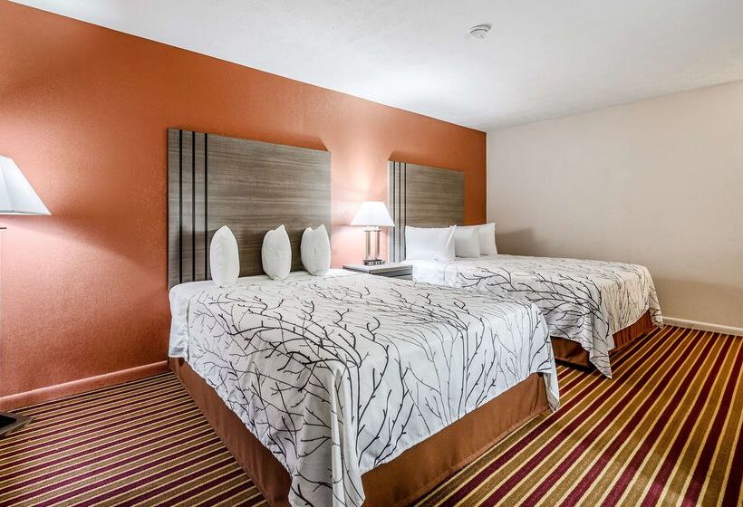 酒店 Americas Best Value Inn Heflin