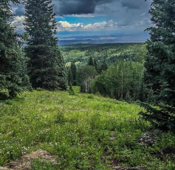 فندق Arrowhead Mountain Lodge
