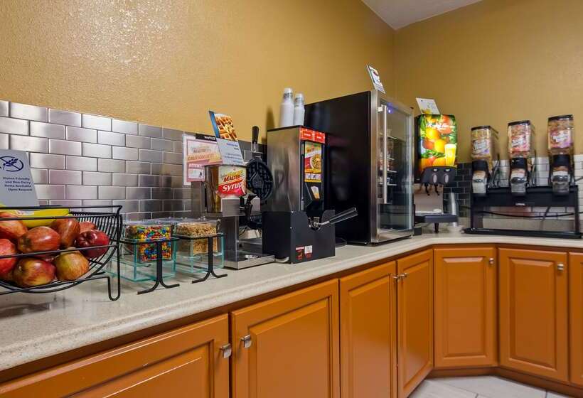 酒店 Best Western Paris Inn