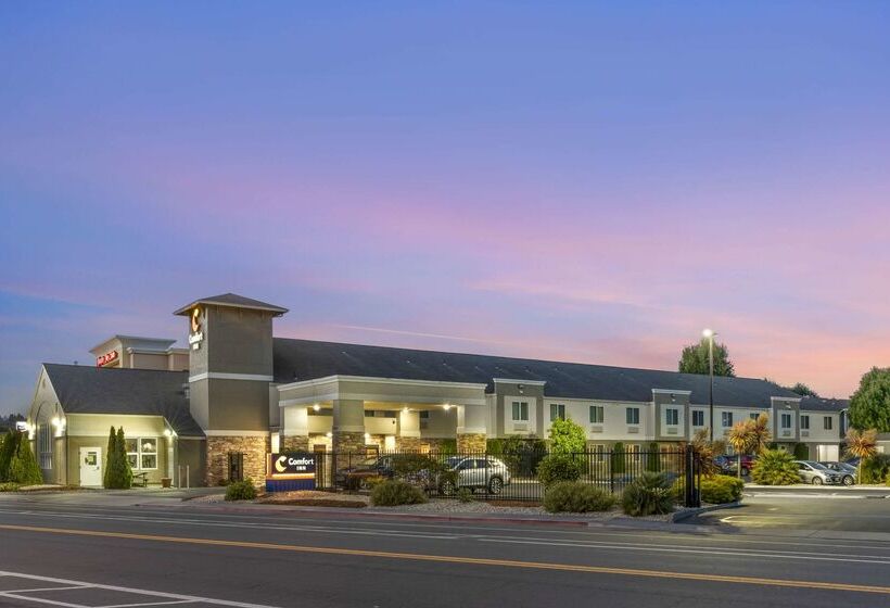 فندق Comfort Inn Arcata