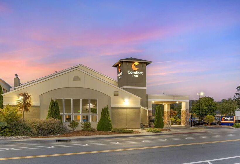 فندق Comfort Inn Arcata