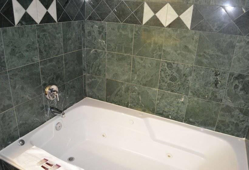 酒店 Comfort Inn Downtown