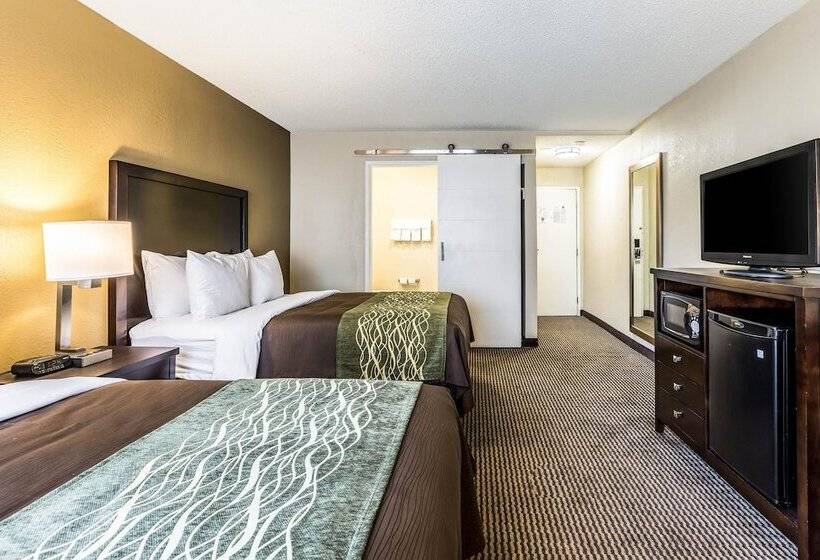 酒店 Comfort Inn Downtown