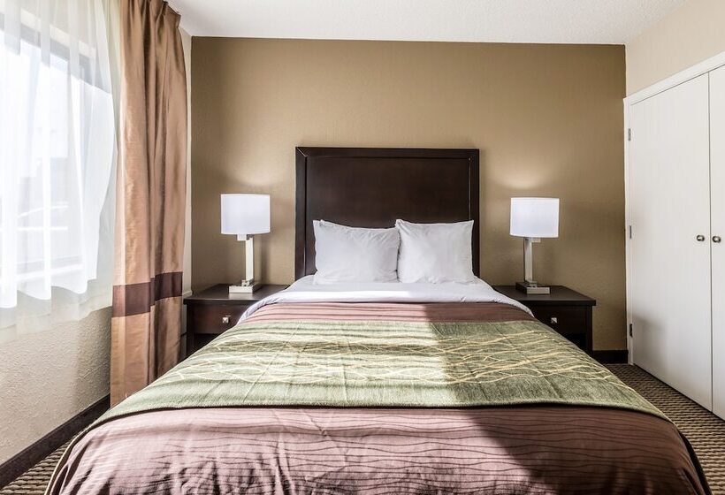 酒店 Comfort Inn Downtown