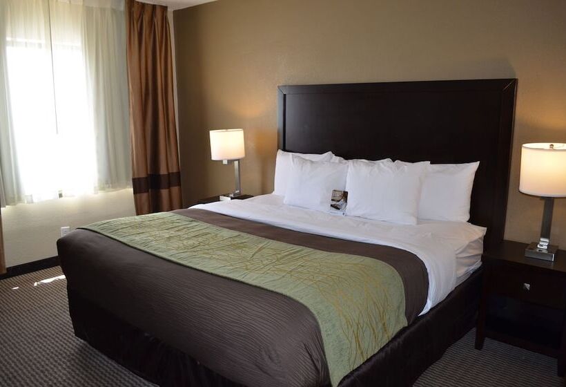 酒店 Comfort Inn Downtown