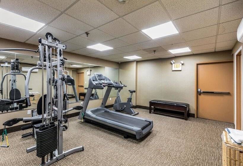 فندق Comfort Inn Medfordlong Island