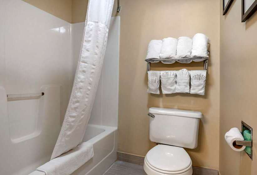 فندق Comfort Inn Romeoville  Bolingbrook