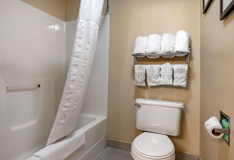 فندق Comfort Inn Romeoville  Bolingbrook