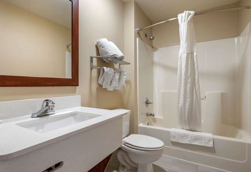 فندق Comfort Inn Romeoville  Bolingbrook