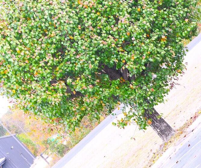 酒店 Florence Inn And Suites