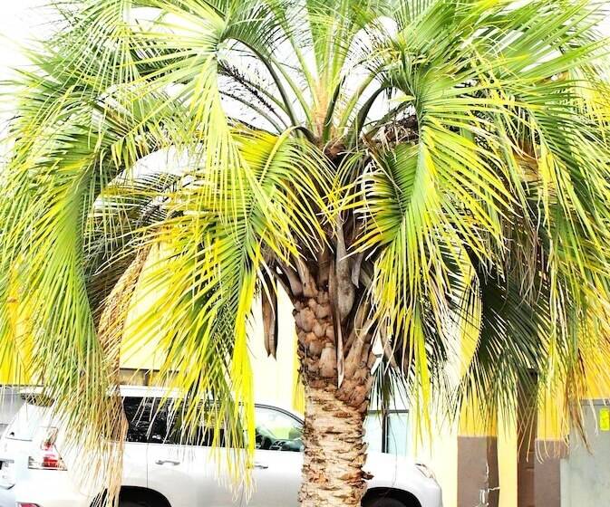 酒店 Florence Inn And Suites