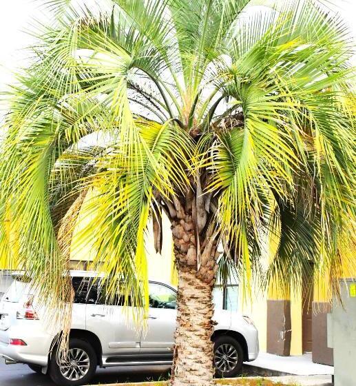 酒店 Florence Inn And Suites