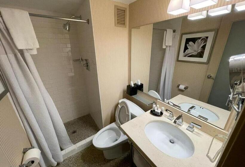 בית מלון כפרי Fort Pontchartrain Detroit, A Wyndham